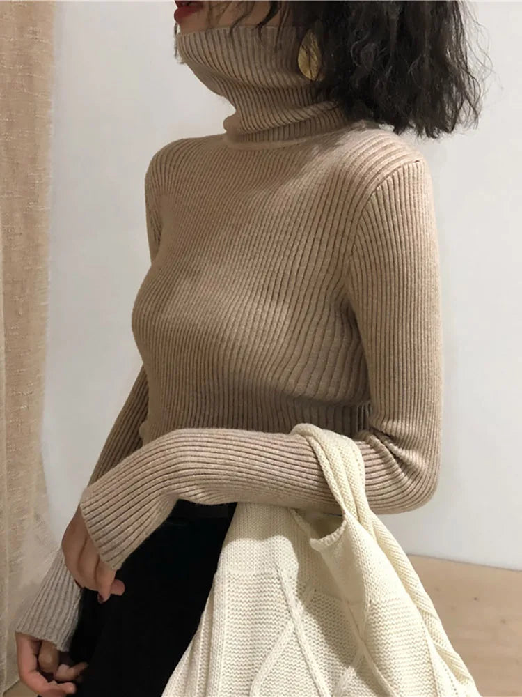 Korean Turtleneck Sweater