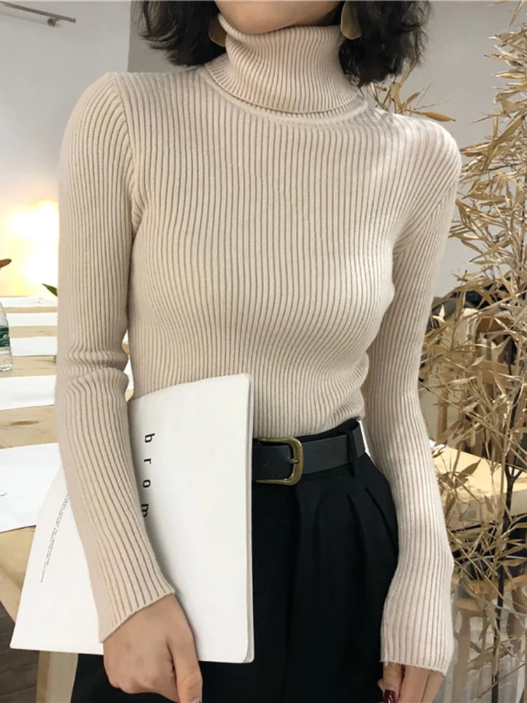 Korean Turtleneck Sweater