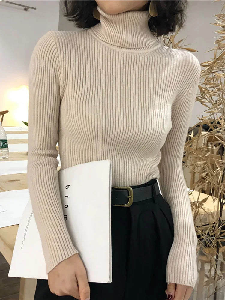 Korean Turtleneck Sweater