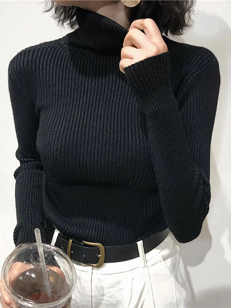 Korean Turtleneck Sweater