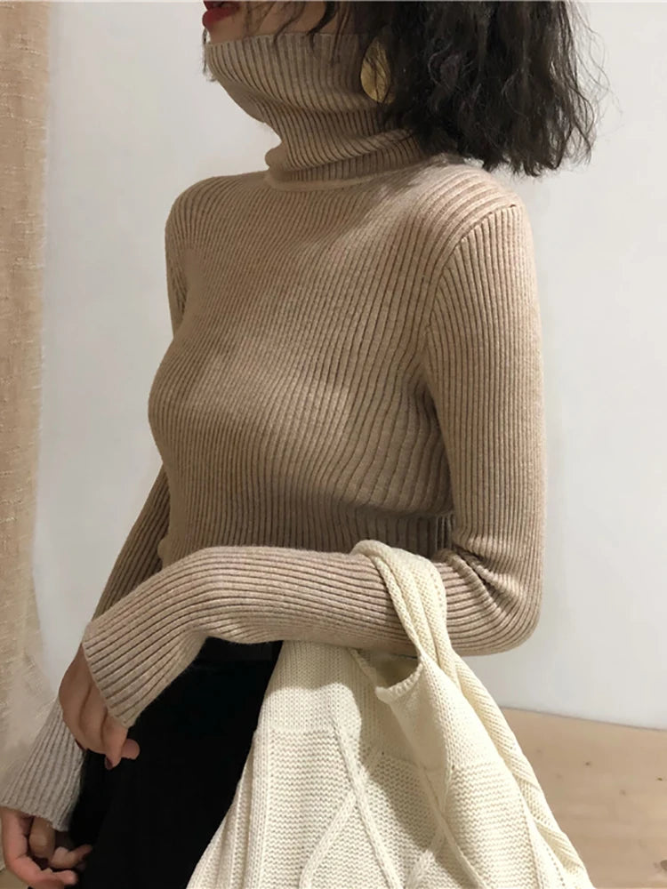 Korean Turtleneck Sweater