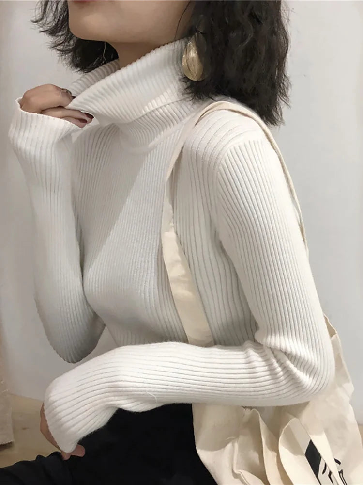 Korean Turtleneck Sweater