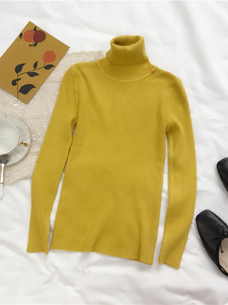 Korean Turtleneck Sweater