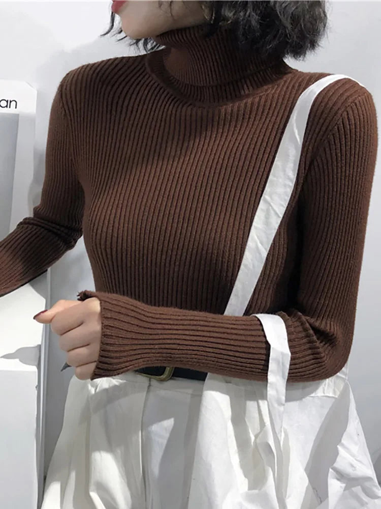 Korean Turtleneck Sweater